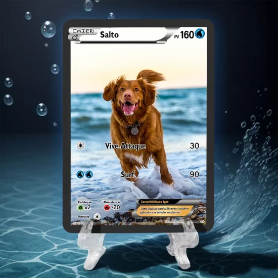 Carte photo chien personnalisée pokémon eau