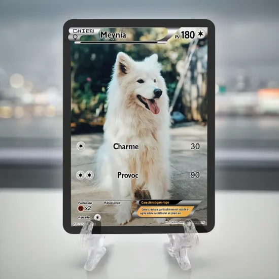 Carte photo personnalisée chien pokémon full art
