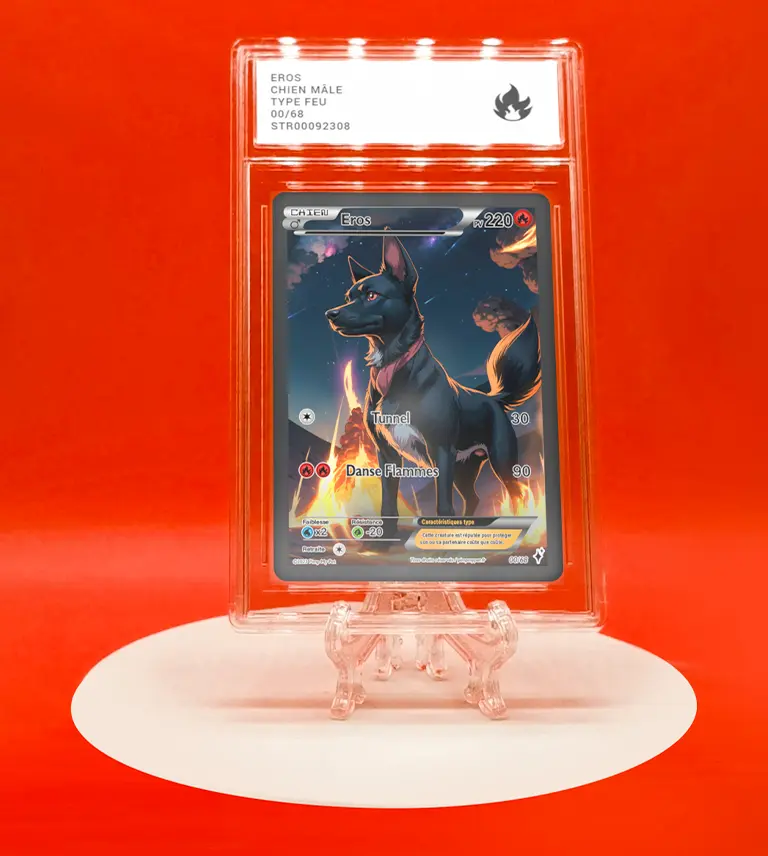 Carte Pokémon full art personnalisée chien feu
