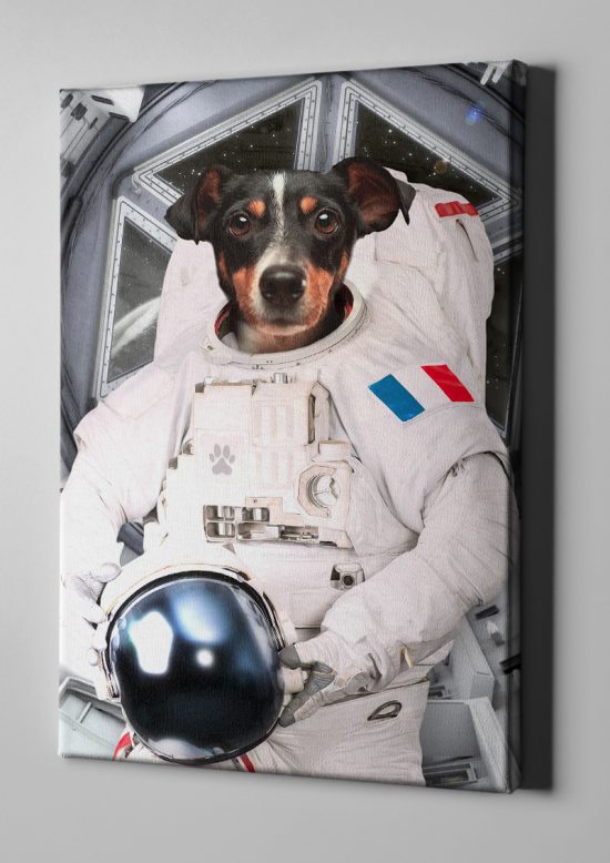 Portrait L'Astronaute