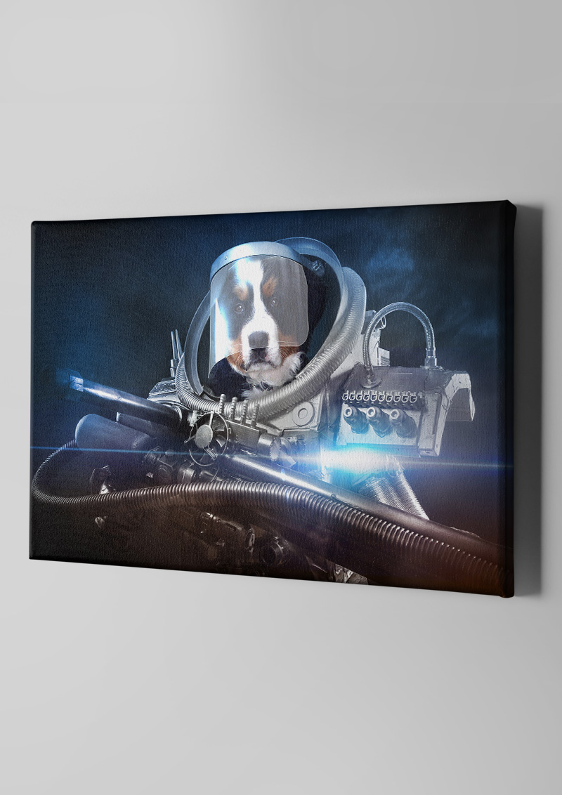 Portrait Guerrier intergalactique