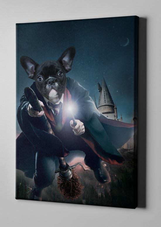 Portrait Harry Potter