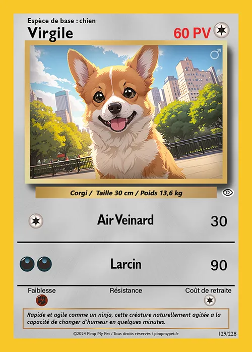 carte pokémon corgi chien personnalisée