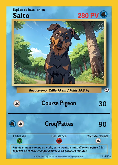carte Pokémon personnalisée chien classique eau