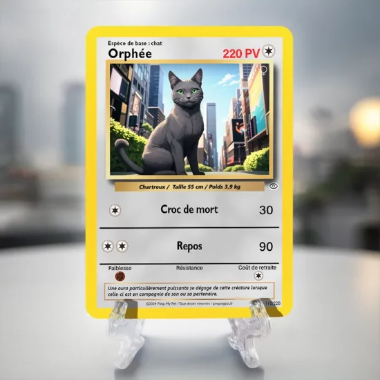 carte chat classique personnalisée Pokémon ville