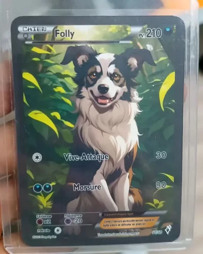 carte-personnalisee-pokemon-pimpmypet-avis1