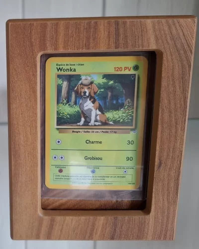 carte-personnalisee-pokemon-pimpmypet-avis2