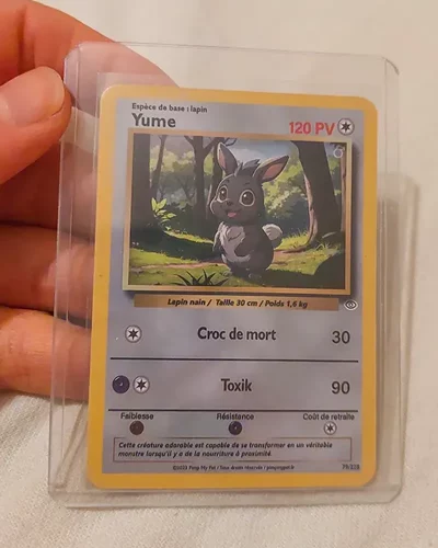carte-personnalisee-pokemon-pimpmypet-avis5