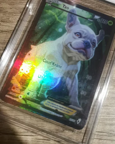 carte-personnalisee-pokemon-pimpmypet-avis6