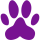 paw-print-separator
